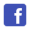 Icons8 facebook old 48 2